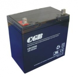 长光蓄电池CB12550（12V55AH）